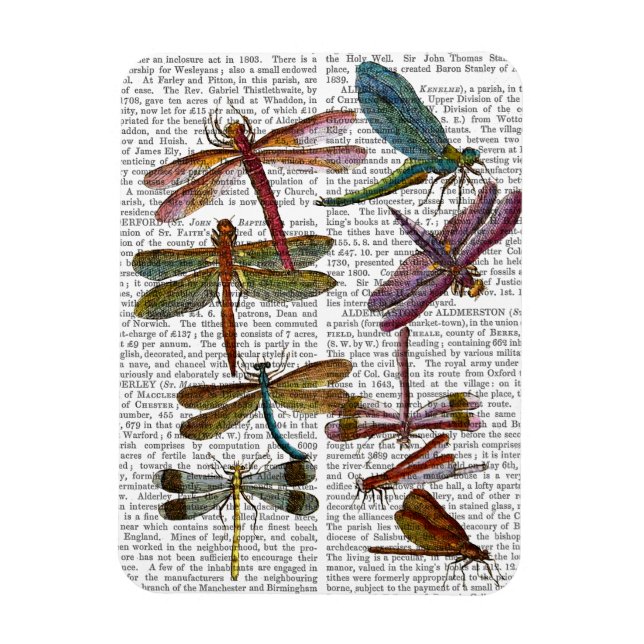 Magnet Flexible Dragonfly Print 4 (Vertical)