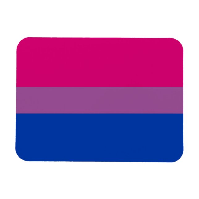 Magnet Flexible Drapeau de fierté bisexuel (Horizontal)