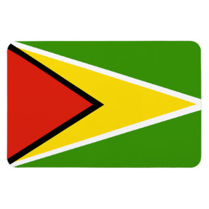 Magnet Flexible Drapeau de la Guyane