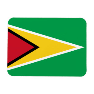 Magnet Flexible Drapeau de la Guyane patriotique