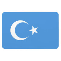 Drapeau du Turkestan oriental Ouyghur