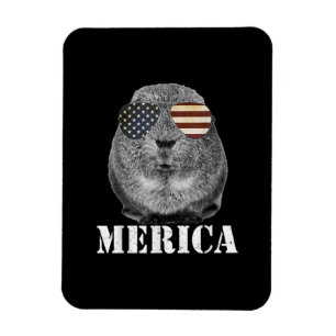 Magnet Flexible Drôle Guinée Cochon Merica Patriotique Usa Lunette