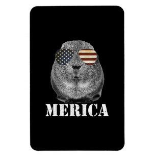 Magnet Flexible Drôle Guinée Cochon Merica Patriotique Usa Lunette