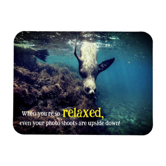 Magnet Flexible Drôle lion marin sous l'eau (Horizontal)