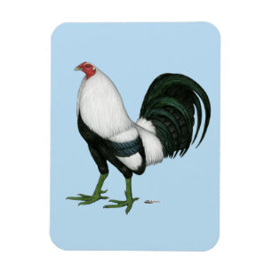 Magnet Flexible Duckwing Gamecock