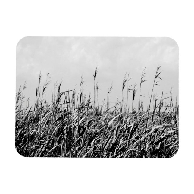 Magnet Flexible Dune Triptych III (Horizontal)