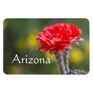 Magnet Flexible duo de fleur de cactus de Firelight, Arizona