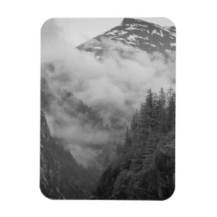 Magnet Flexible É.-U., Alaska, Juneau, la forêt tropicale couvre l