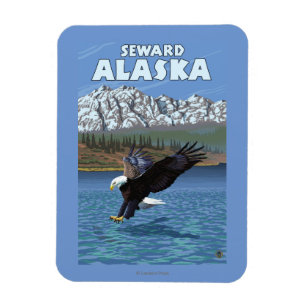 Magnet Flexible Eagle chauve plongeant - Seward, Alaska