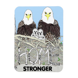 MAGNET FLEXIBLE EAGLES HARRIET, M15, E17 + E18 LIVRE - HOME STRONG