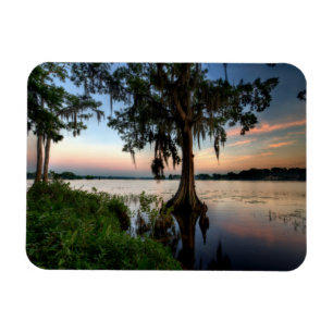 Magnet Flexible Eau Kraft Azalea Park Maitland Floride