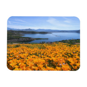 Magnet Flexible Eau Lac California Avec Des Pépites D'Or