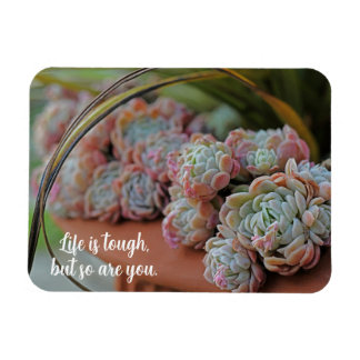 Magnet Flexible Echeveria Rose La vie succulente est difficile