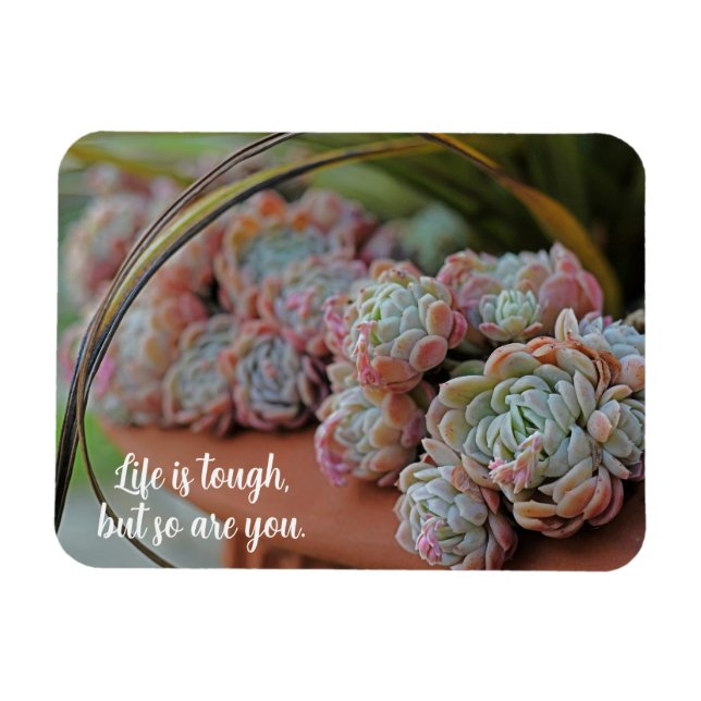 Magnet Flexible Echeveria Rose La vie succulente est difficile (Horizontal)