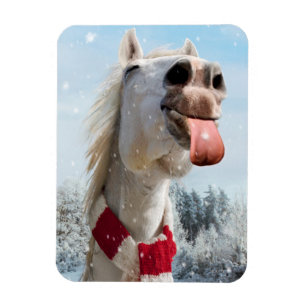 Magnet Flexible Éclosion de chevaux Snowflakes