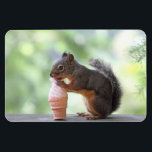 Magnet Flexible Écureuil mangeant un cône de glace<br><div class="desc">Photo d'un écureuil mangeant un cône de glace à l'extérieur sur la balustrade en bois d'un pont arrière. L'écureuil lèche un faux cône avec ce qui ressemble à de la crème glacée aux fraises... ou peut-être que c'est de la glace aromatisée à l'arachide ! Un bel arrière - plan vert...</div>