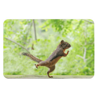 Magnet Flexible Écureuil mignon Qui Fait Tai Chi