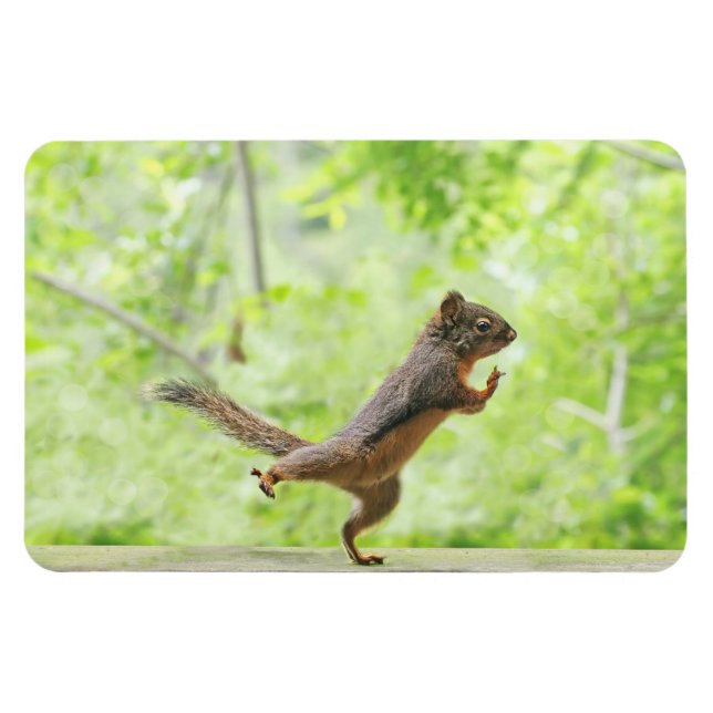Magnet Flexible Écureuil mignon Qui Fait Tai Chi (Horizontal)