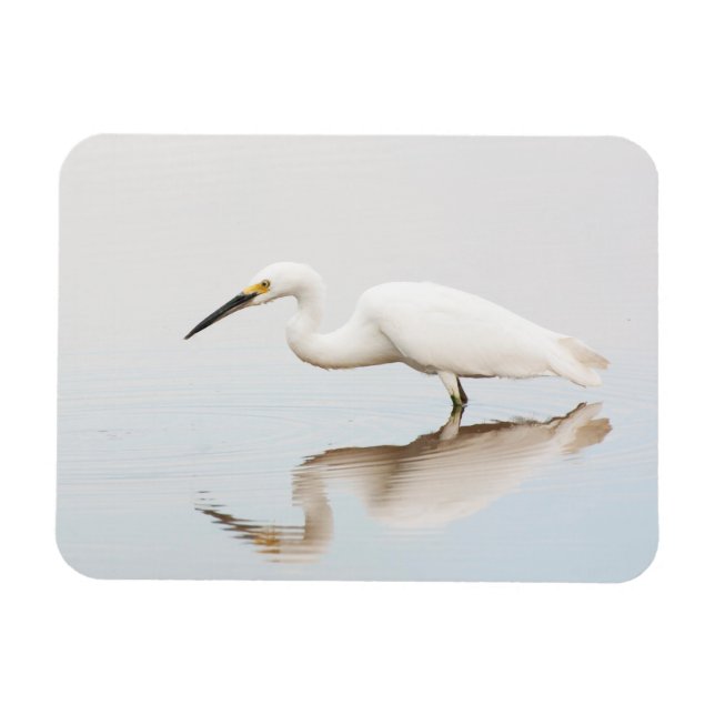 Magnet Flexible Egret sur étang calme (Horizontal)
