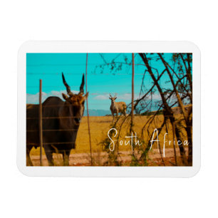 Magnet Flexible Eland Antelope Animal Afrique du Sud ZA