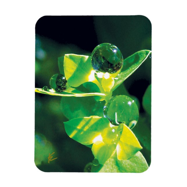 Magnet Flexible Elegant Dew Drops on Green Leaves (Vertical)