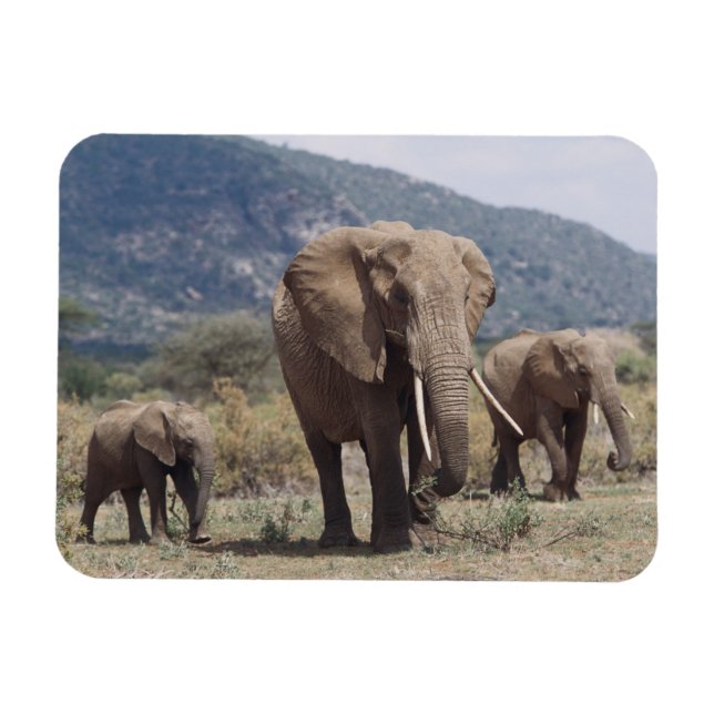 Magnet Flexible Éléphant mère marchant avec un éléphant jeune (Horizontal)