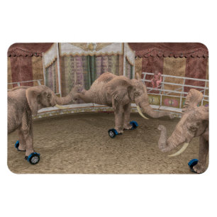 Magnet Flexible Eléphants de cirque amusants