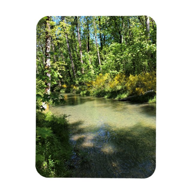 Magnet Flexible Elijah Bristow State Park, Dexter, Oregon (Vertical)