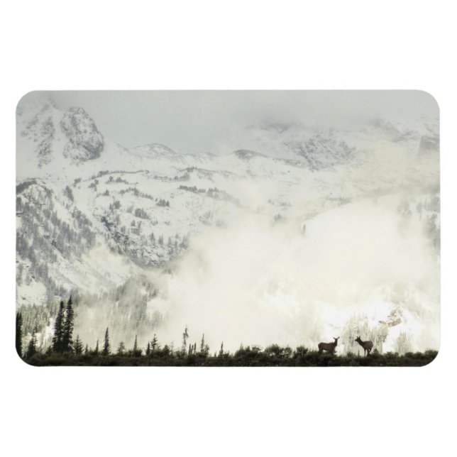 Magnet Flexible Elk at Grand Teton National Park Photographie (Horizontal)
