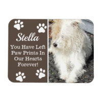 Empreintes de pattes dans notre coeur, perte de an