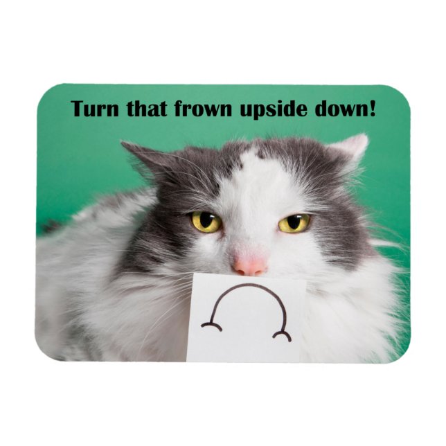 Magnet Flexible Encouragement Drôle Chat Avec Frown (Horizontal)