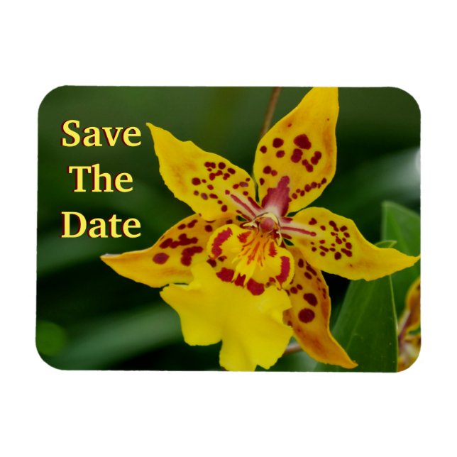 Magnet Flexible Enregistrer la date Aimant orchidée jaune (Horizontal)