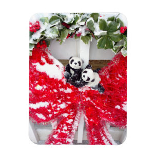 Magnet Flexible Ensemble douillet