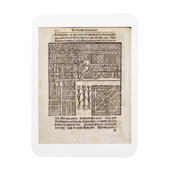 Magnet Flexible Entraînement et plantation dans le jardin, de 'The (Vertical)