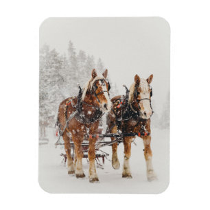 Magnet Flexible Équipe de Belgique de cheval Wintery Christmas Sce