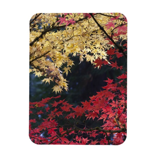 Magnet Flexible Érables en couleur d'automne (Vertical)
