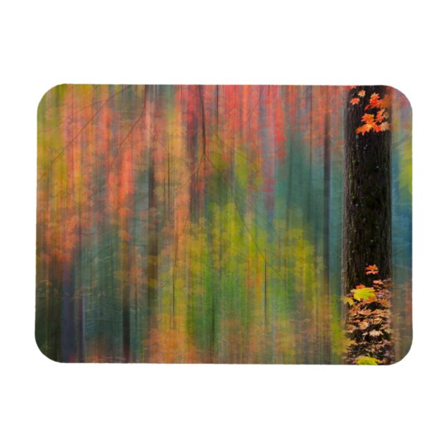 Magnet Flexible Érables | Silver Falls State Park (Horizontal)