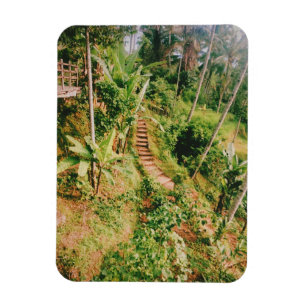 Magnet Flexible Escalier de la forêt tropicale de Bali