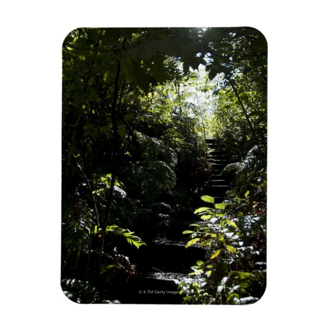 Magnet Flexible Escalier rustique/sentier en forêt, soleil (Vertical)