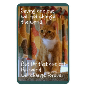 Magnet Flexible Espoirs oranges de chat tigré d'être adopté