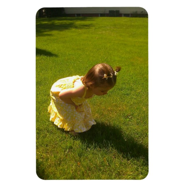 Magnet Flexible Est-ce une sauterelle ? Ginger Leigh Premium Flexi (Vertical)