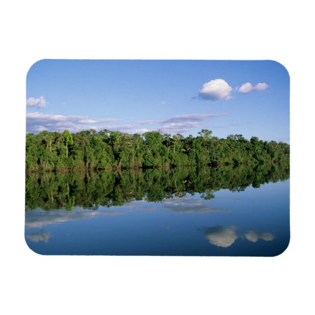 Magnet Flexible Etat du Mato Grosso, Amazon, Brésil. Forestier (Horizontal)