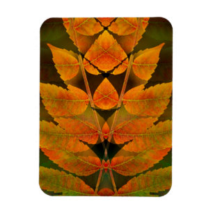 Magnet Flexible États-Unis, Colorado, Lafayette. Montage de sumac
