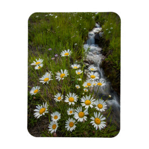 Magnet Flexible États-Unis, Colorado, Montagnes de San Juan. Margu