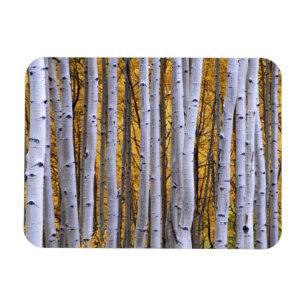 Magnet Flexible États-Unis, Colorado, montagnes Rocheuses.  Scèn