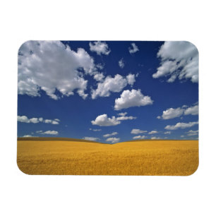 Magnet Flexible États-Unis, État de Washington, Colfax. Mélange