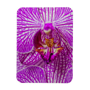 Magnet Flexible États-Unis, Géorgie, Savannah, Proximité De L'O