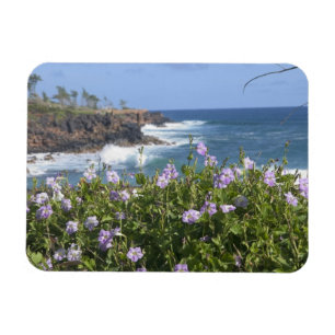 Magnet Flexible États-Unis, Hawaï, Kauai, près de Kapaa, nord-oues