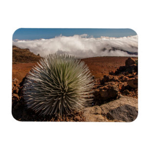 Magnet Flexible États-Unis, Hawaï, Maui, Parc national de Haleakal