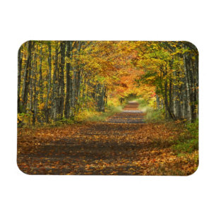 Magnet Flexible États-Unis, Michigan, Haute Péninsule. Rue à l'